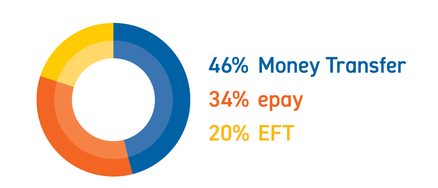 Pie chart showing: 46% Money Transfer, 34% epay, 20% EFT